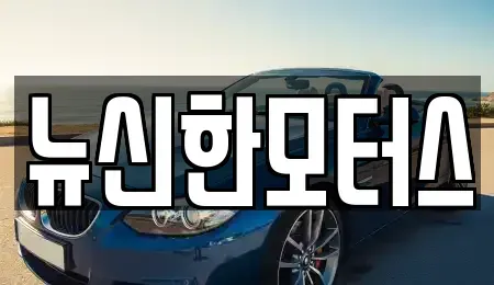 대전광역시 동구 이사동 중고차매매 전문 뉴신한모터스