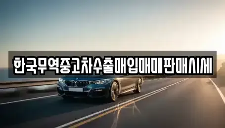 대전광역시 동구 이사동 중고차매입 전문 한국무역중고차수출매입매매판매시세