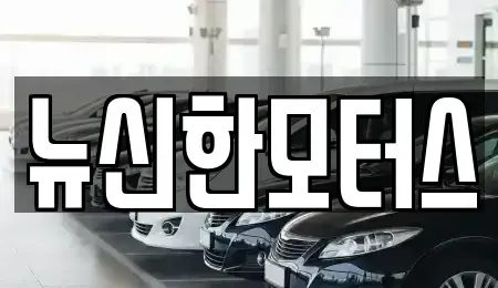 대전광역시 서구 산직동 중고차 전문 뉴신한모터스