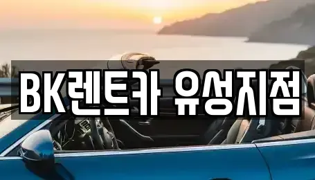 대전광역시 유성구 봉명동 장기렌트카 전문 BK렌트카 유성지점