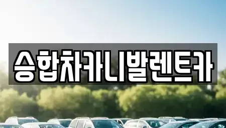 대전광역시 유성구 원내동 렌트카 전문 승합차카니발렌트카