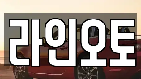 대전광역시 유성구 원내동 장기렌트카 전문 라인오토
