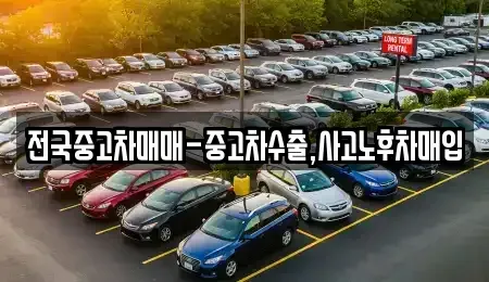 대전광역시 유성구 원내동 중고차매입 전문 전국중고차매매-중고차수출,사고노후차매입