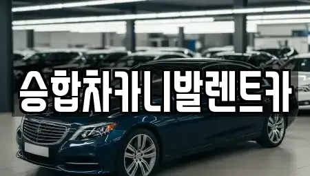 대전광역시 유성구 하기동 렌트카 전문 승합차카니발렌트카