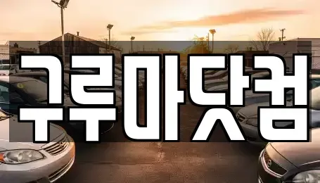 대전광역시 유성구 하기동 장기렌트카 전문 구루마닷컴