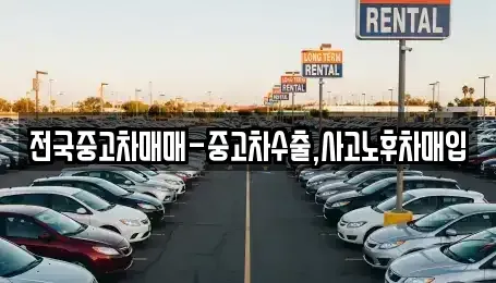 대전광역시 유성구 하기동 중고차매매 전문 전국중고차매매-중고차수출,사고노후차매입