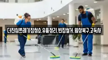 더진심쓰레기집청소.유품정리.빈집철거.원상복구.고독사