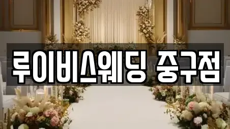 루이비스웨딩 중구점