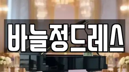 바늘정드레스