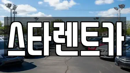 부산 사하구 장림동 렌트카 전문 스타렌트카