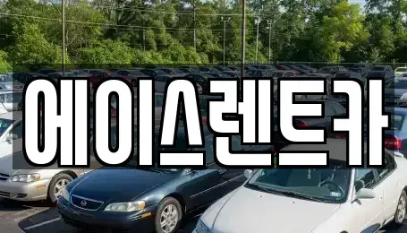부산 사하구 장림동 렌트카 전문 에이스렌트카