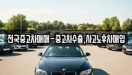 부산 사하구 장림동 중고차 전문 전국중고차매매-중고차수출,사고노후차매입
