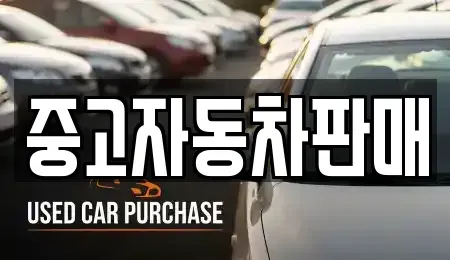 부산 사하구 장림동 중고차 전문 중고자동차판매