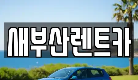 부산 서구 부민동2가 렌트카 전문 새부산렌트카