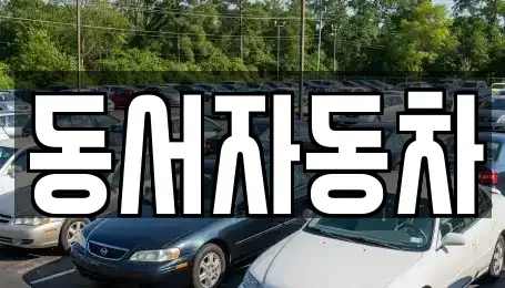 부산 서구 부민동2가 중고차 전문 동서자동차