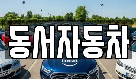 부산 서구 충무동1가 중고차매매 전문 동서자동차