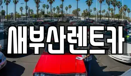 부산 영도구 봉래동1가 렌트카 전문 새부산렌트카