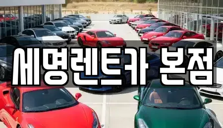 부산 영도구 봉래동1가 렌트카 전문 세명렌트카 본점