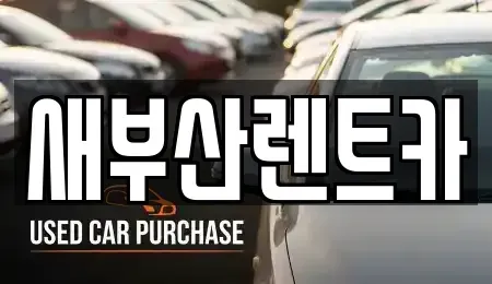 부산 영도구 영선동3가 렌트카 전문 새부산렌트카