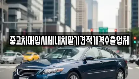 부산 영도구 영선동3가 중고차매입 전문 중고차매입시세내차팔기견적가격수출업체