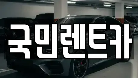 부산 중구 부평동1가 렌트카 전문 국민렌트카