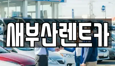 부산 중구 부평동1가 렌트카 전문 새부산렌트카