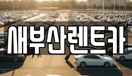 부산 중구 부평동2가 렌트카 전문 새부산렌트카
