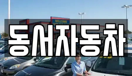 부산 중구 부평동2가 중고차 전문 동서자동차