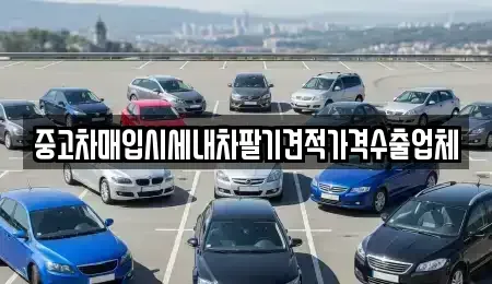 부산 중구 부평동2가 중고차 전문 중고차매입시세내차팔기견적가격수출업체