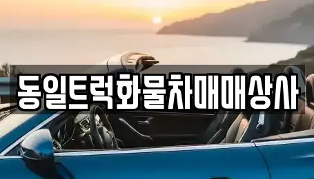 부산광역시 강서구 성북동 중고차매매 전문 동일트럭화물차매매상사