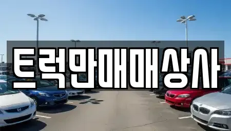 부산광역시 강서구 성북동 중고차매매 전문 트럭만매매상사