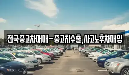 부산광역시 강서구 성북동 중고차매입 전문 전국중고차매매-중고차수출,사고노후차매입