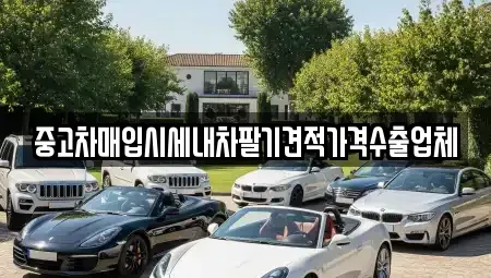 부산광역시 강서구 성북동 단기렌트카,중고차매입,중고차매매,중고차,렌트카,장기렌트카