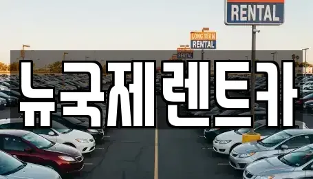 부산광역시 기장군 단기렌트카 전문 뉴국제렌트카