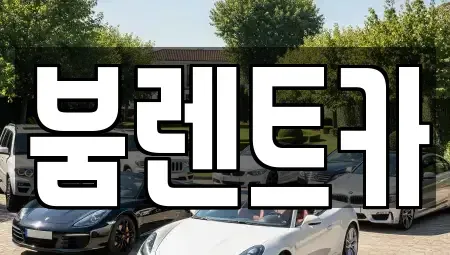 부산광역시 기장군 렌트카 전문 붐렌트카