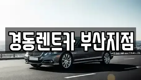 부산광역시 기장군 장기렌트카 전문 경동렌트카 부산지점