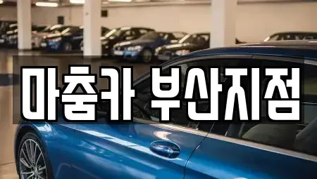 부산광역시 기장군 장기렌트카 전문 마춤카 부산지점