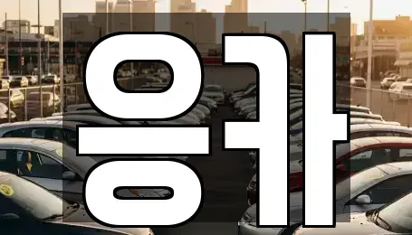 부산광역시 기장군 장기렌트카 전문 응카