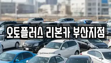부산광역시 기장군 중고차 전문 오토플러스 리본카 부산지점