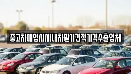 부산광역시 기장군 중고차매입 전문 중고차매입시세내차팔기견적가격수출업체