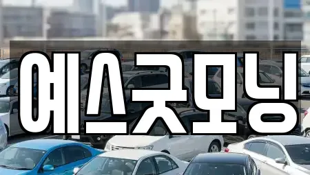 부산광역시 남구 문현동 렌트카 전문 예스굿모닝