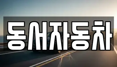 부산광역시 남구 문현동 중고차 전문 동서자동차