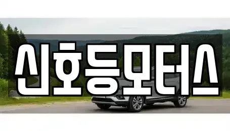 부산광역시 남구 문현동 중고차 전문 신호등모터스