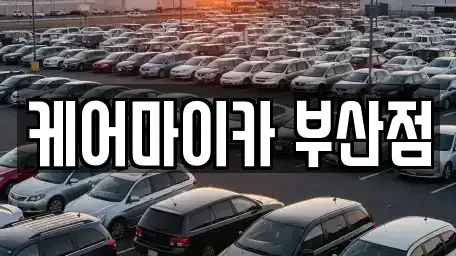 부산광역시 남구 문현동 중고차 전문 케어마이카 부산점