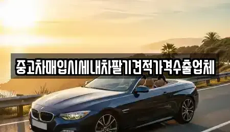 부산광역시 남구 문현동 중고차매입 전문 중고차매입시세내차팔기견적가격수출업체