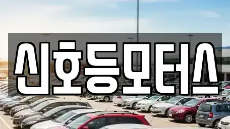 부산광역시 수영구 남천동 중고차매매 전문 신호등모터스
