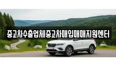 부산광역시 수영구 남천동 중고차매입 전문 중고차수출업체중고차매입매매지원센터