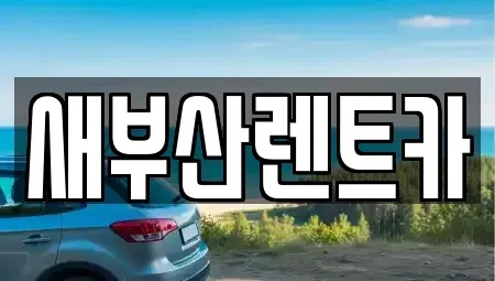 부산광역시 영도구 영선동2가 렌트카 전문 새부산렌트카