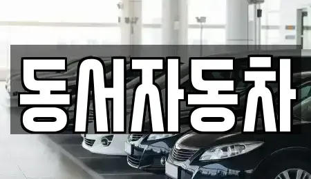 부산광역시 영도구 영선동2가 중고차 전문 동서자동차