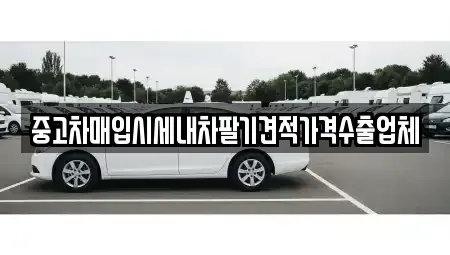 부산광역시 영도구 영선동2가 중고차매입 전문 중고차매입시세내차팔기견적가격수출업체